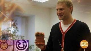 Первый канал передача доброе утро сегодня гороскоп Первый канал передача доброе утро сегодня гороскоп