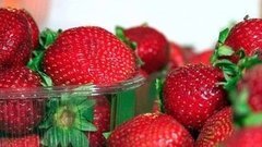 Все за клубникой! Доброе утро. Фрагмент выпуска от 30.06.2016