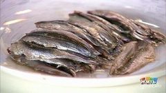 Самая лучшая рыба на свете — анчоус. Жить здорово! Фрагмент выпуска от 13.04.2017