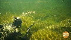 Подводная рыбалка. Доброе утро. Фрагмент выпуска от 27.06.2017