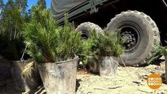 Как сажали «Удивительный лес». Доброе утро. Фрагмент выпуска от 20.05.2019