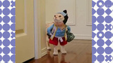 Новый проект «Видели видео» покажет самые интересные, смешные, трогательные и популярные видеоролики