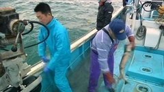 В мире. Всемирный день рыболовства. Доброе утро. Фрагмент выпуска от 27.06.2016