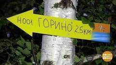 Потерявшиеся в лесу. Доброе утро. Фрагмент выпуска от 11.08.2017