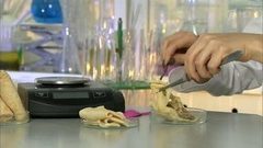 Замороженные блинчики с мясом. Победитель программы. Контрольная закупка. Фрагмент выпуска от 23.08.2016