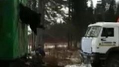 В Нижневартовске пришлось вызволять застрявшего в окне вагончика медведя-воришку. Хиты интернета