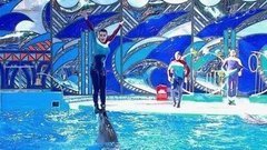 Анастасия Заворотнюк и Алексей Ягудин. Танцевально-трюковой номер. Выступление. Вместе с дельфинами. Фрагмент выпуска от 17.10.2015