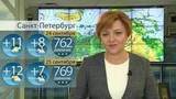 Циклоны принесли на европейскую территорию России прохладу и дожди