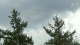 Сильный ливень обрушился на столичный регион