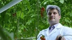 Малый бизнес: на чём можно заработать? Доброе утро. Фрагмент выпуска от 29.03.2016