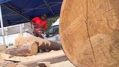 Валить лес — точная наука. Доброе утро. Фрагмент выпуска от 27.06.2016