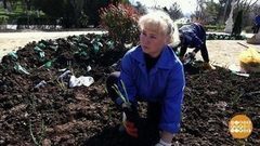«Виноградную косточку в теплую землю зарою». Доброе утро. Фрагмент выпуска от 05.04.2017