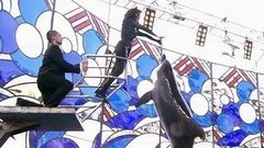 Анастасия Заворотнюк. Выступление. Вместе с дельфинами. Фрагмент выпуска от 03.10.2015