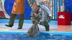 Дмитрий Саутин. Выступление. Вместе с дельфинами. Фрагмент выпуска от 03.10.2015
