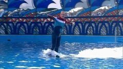 Дмитрий Саутин. Выступление. Вместе с дельфинами. Фрагмент выпуска от 10.10.2015