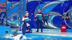 Яна Чурикова и Олег Газманов. Парный проезд. Выступление. Вместе с дельфинами. Фрагмент выпуска от 17.10.2015