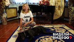 Один дома: пес певицы Вики Цыгановой. Видели видео? Фрагмент выпуска от 10.08.2018