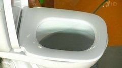 Чистота в туалете. Жить здорово! Фрагмент выпуска от 01.03.2016