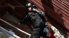 В Бразилии мотоциклист чудом выжил в страшной аварии. Хиты интернета
