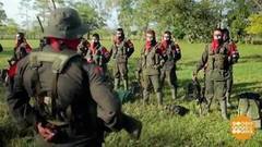 В мире. Надежда на мир. Доброе утро. Фрагмент выпуска от 19.10.2017