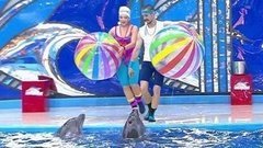 Тина Кузнецова. Выступление. Вместе с дельфинами. Фрагмент выпуска от 03.10.2015