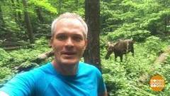 Лоси в городе! Доброе утро. Фрагмент выпуска от 18.07.2018