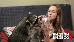 Жизнь с енотом. Видели видео? Фрагмент выпуска от 09.08.2018