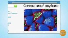 «Синяя клубника» и «малиновые деревья». Доброе утро. Фрагмент выпуска от 23.04.2019