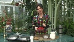 Заготовки на зиму: боярышник. Фазенда. Фрагмент выпуска от 22.11.2015