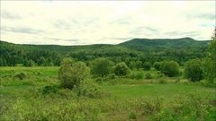 Гектар бесплатно. Доброе утро. Фрагмент выпуска от 30.06.2016