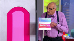Летние угрозы здоровью. Жить здорово! Фрагмент выпуска от 27.07.2017