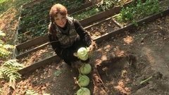 Как сохранить урожай капусты