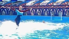 Лера Кудрявцева и Дмитрий Саутин. Парный проезд. Выступление. Вместе с дельфинами. Фрагмент выпуска от 17.10.2015