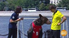 Испания — Россия: Потапыч, прочувствуй момент! Доброе утро. Фрагмент выпуска от 29.06.2018