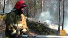 Леса горят… Доброе утро. Фрагмент выпуска от 23.04.2019