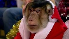Жить здорово! Выпуск от 30.12.2015