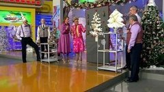 Елка в последний момент. Выдумки телезрителей. Жить здорово! Фрагмент выпуска от 30.12.2015