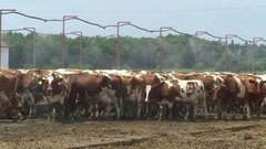 Жара! Доброе утро. Фрагмент выпуска от 06.07.2016
