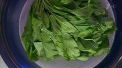 Щавель. Зелень на нашем столе. Жить здорово! Фрагмент выпуска от 08.07.2016