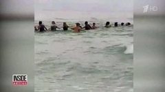 Во Флориде 80 человек создали живую цепь, чтобы спасти утопающих. Хиты интернета
