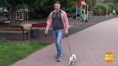 Нарушаем? Доброе утро. Фрагмент выпуска от 28.07.2017