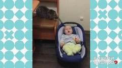 Кошачья колыбельная. Видели видео? Фрагмент выпуска от 19.07.2018