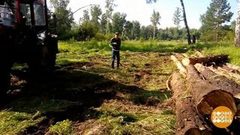 Ловушки для черных лесорубов. Доброе утро. Фрагмент выпуска от 21.08.2018