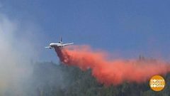 В мире. Лесные пожары. Доброе утро. Фрагмент выпуска от 31.08.2018