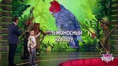 Увлеченный попугаевед Григорий Олефиров. Лучше всех! Фрагмент выпуска от 16.09.2018