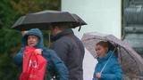 В связи с непогодой МЧС объявило оранжевый уровень опасности по Москве и Подмосковью