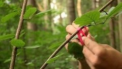Как не заблудиться в лесу. Доброе утро. Фрагмент выпуска от 09.06.2016