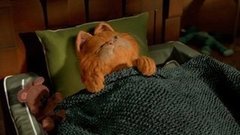 Гарфилд и другие котики. Доброе утро. Фрагмент выпуска от 27.06.2016