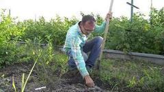 Сменить работу — сменить судьбу? Доброе утро. Фрагмент выпуска от 22.07.2016