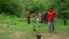 Большой субботник в преддверии Кубка конфедераций провели волонтеры в городах, в которых пройдет грандиозный спортивный праздник